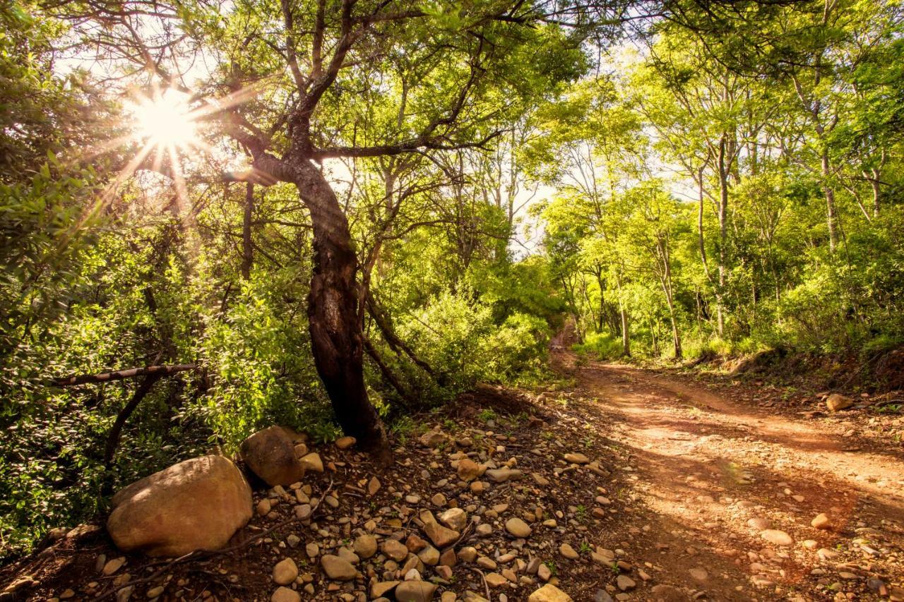Rivendell Trout Estate Villa Lydenburg Kültér fotó